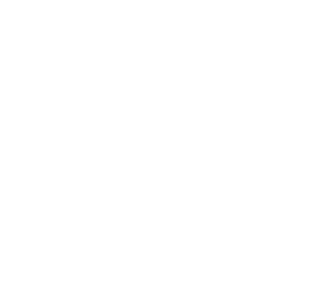 Piisa Dragonfly