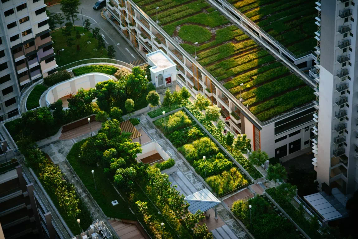 Incentivizing Green Roof adoption