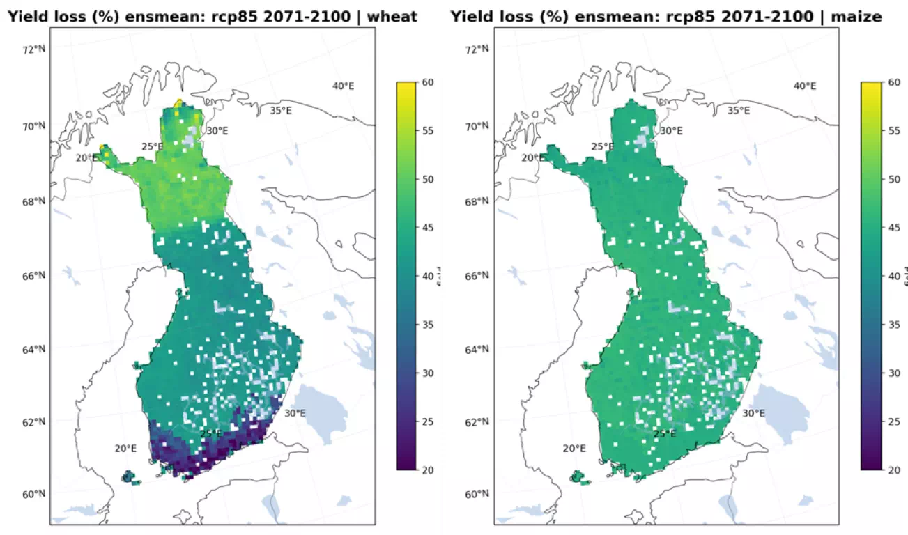 Yield loss drought index map